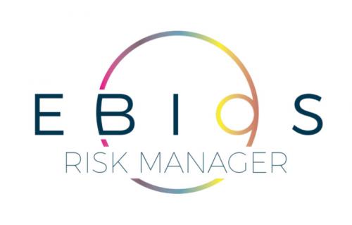 Mastering EBIOS Risk Analysis